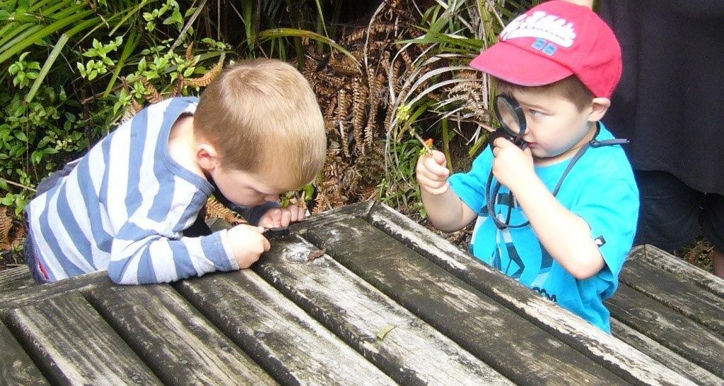 4 year olds using a magnifying glass to see mini koura