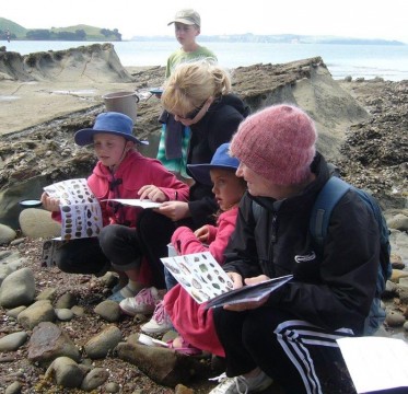 A rocky shore day