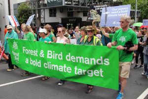 An open letter to the NZ Government urging immediate action on climate change