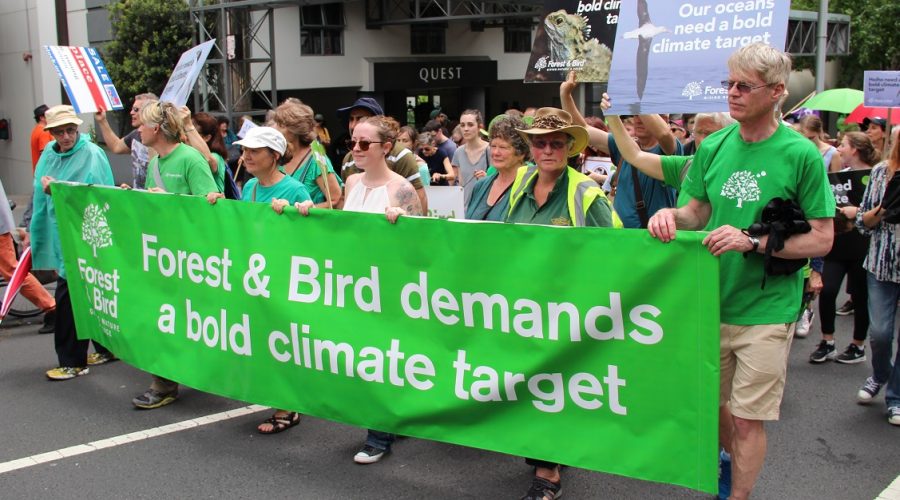 An open letter to the NZ Government urging immediate action on climate change