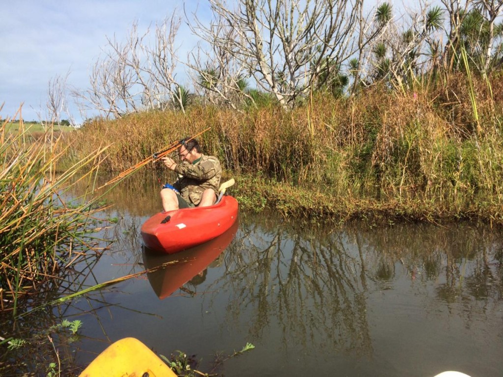 Habitat te henga 1