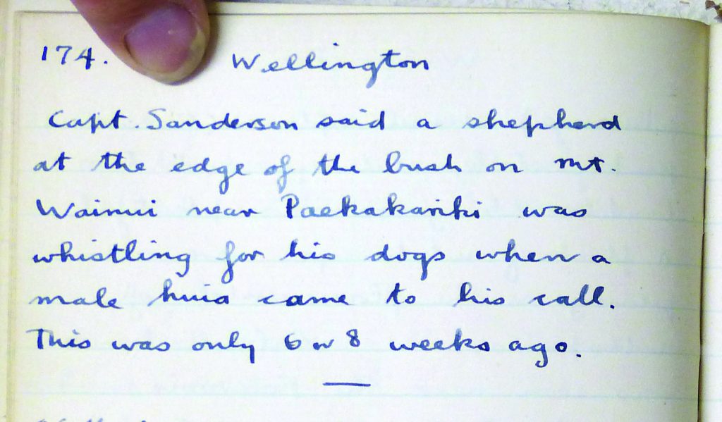 Stidolph's huia diary entry from 1924.
