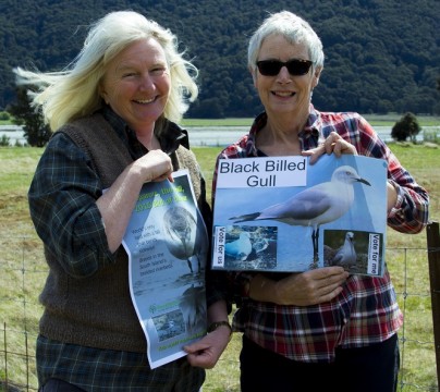 Colleen from North Canterbury (left) and Edith from Ashburton share their Bird of the Year posters (Photo by Kimberley Collins).