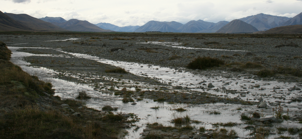 Rangitata