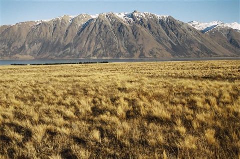 Above the treeline: sorting tahr fact from fiction