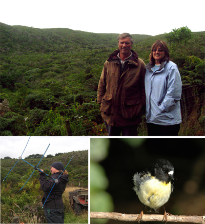 Bruce & Liz in front of the tui's new home; Elizabeth bell locates the tui post-release & CI tomtit, one of the species the couple plan to introduce