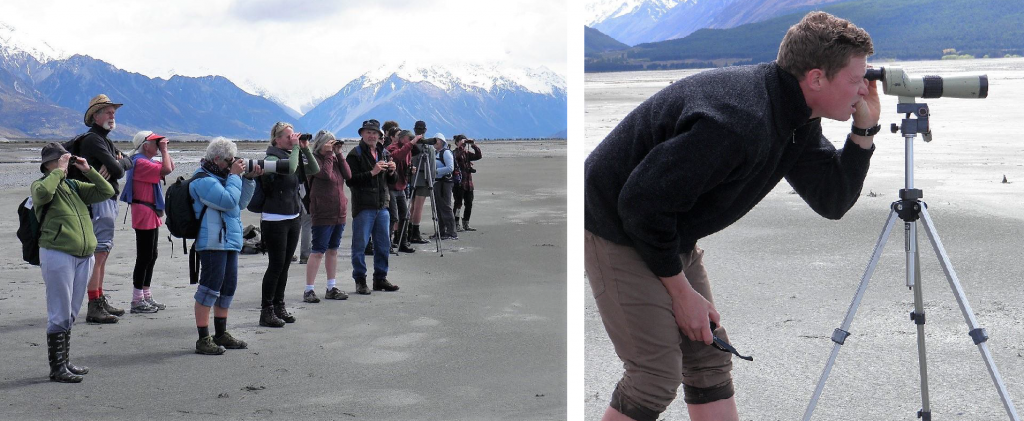Looking for Kakī and other braided river birds on the Tasman River.