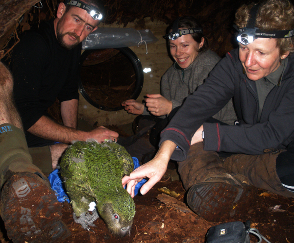 Conservation Minister Kate Wilkinson gets up-close-and-personal with a codfish island kakapo