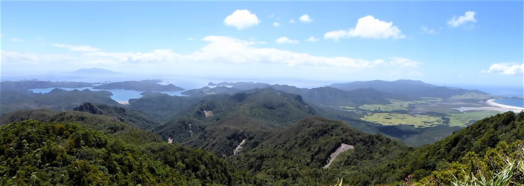 The view from Mt Hobson with Little Barrier Island in the far distance (Photo: Rachel Hufton).