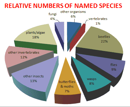 malweardesigns: How Many Species Of Mammals Are There On Earth