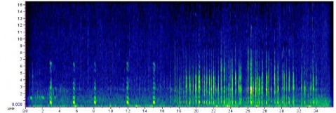 spectrogram