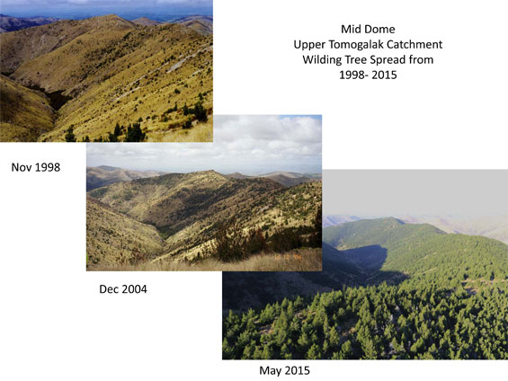 Microsoft PowerPoint - Upper Tomogalak Catchment Spread Power po