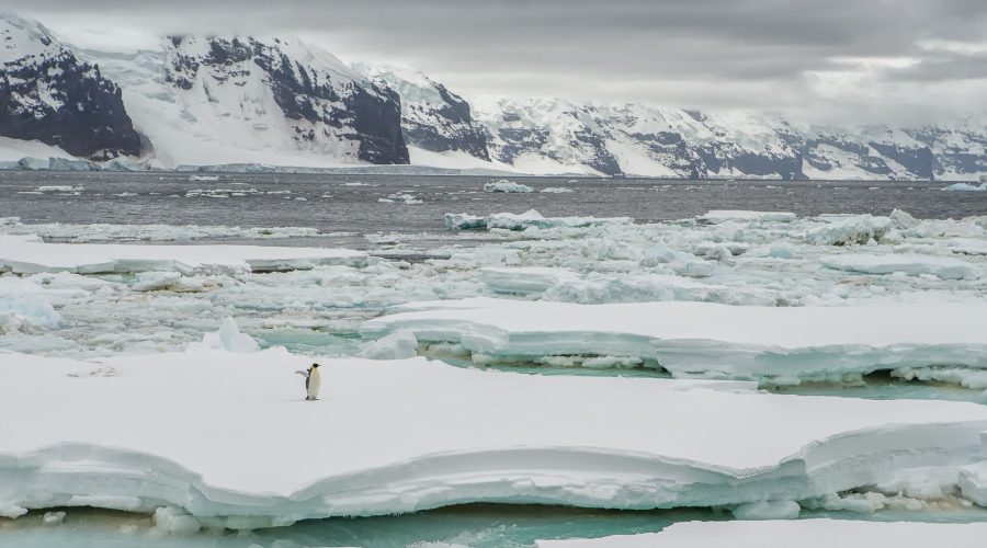 Earth’s Last Wilderness