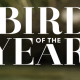 Bird of the Year: Let the Countdown Begin!